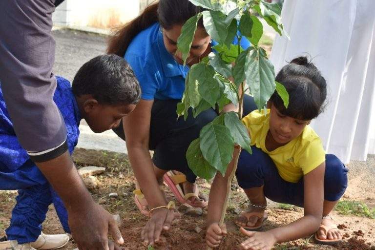 Mom and kids are planting trees